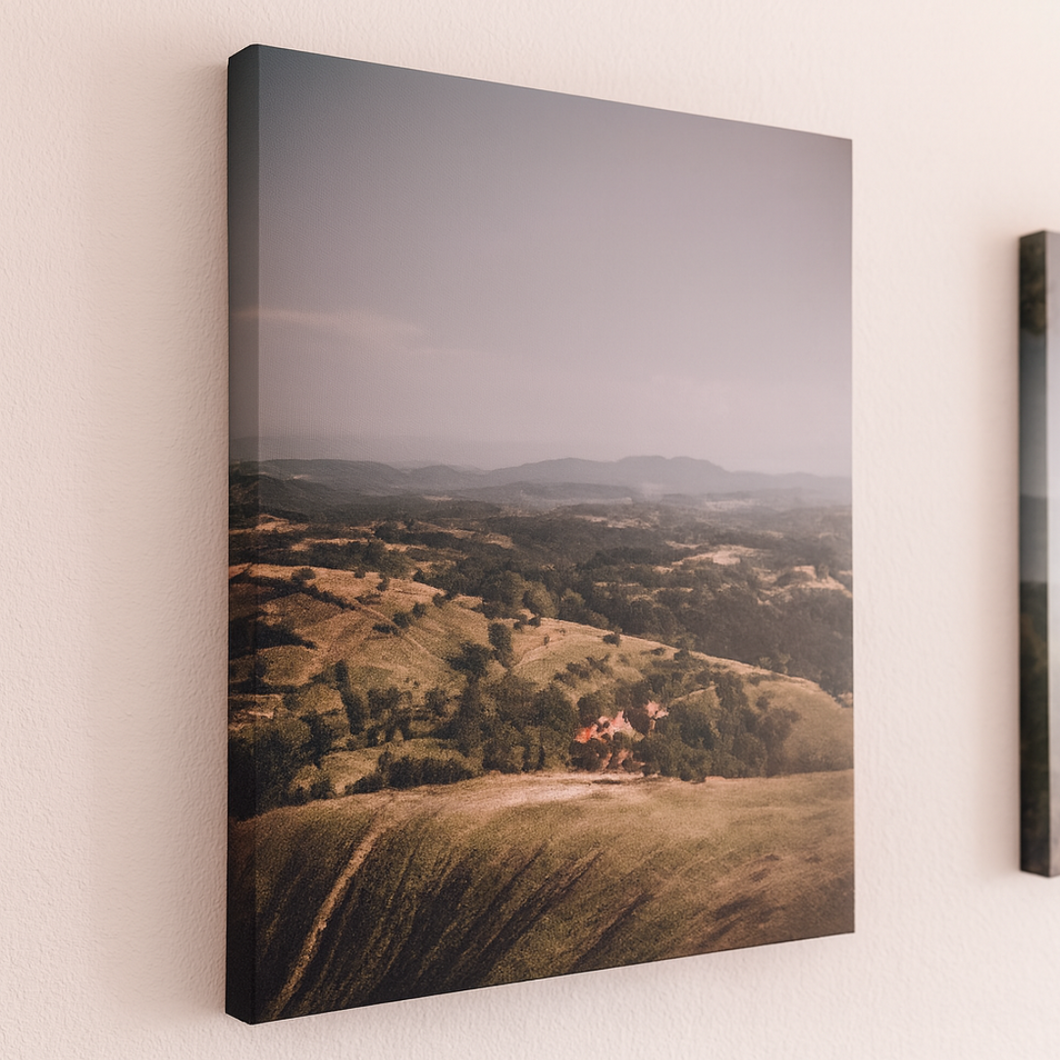 Canvas Prints